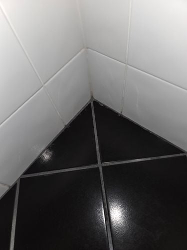 1000012819.jpg 1000012819.jpg