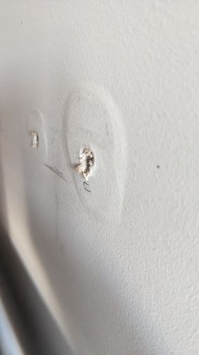 1000043183.jpg 1000043183.jpg