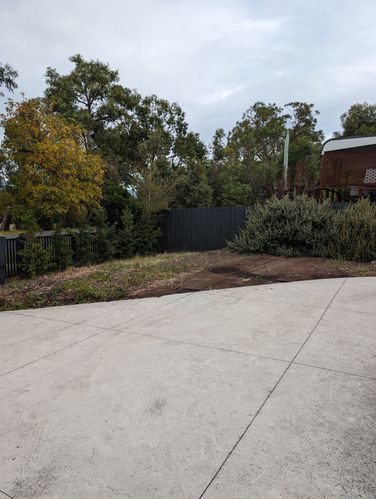 1000060007.jpg 1000060007.jpg