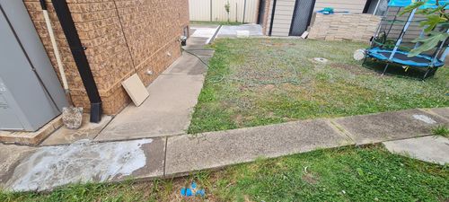 IMG-20230101-WA0004.jpg IMG-20230101-WA0004.jpg