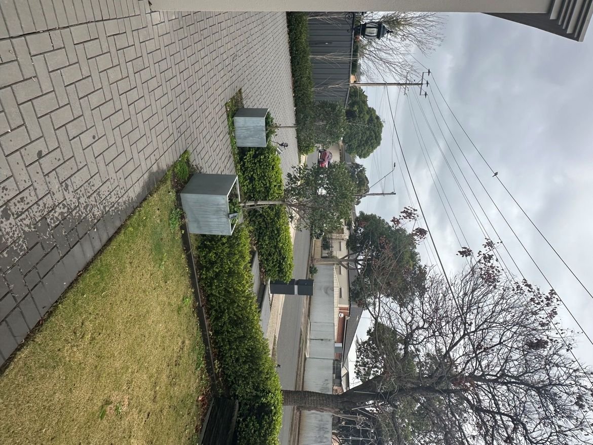 IMG_1605.jpg IMG_1605.jpg