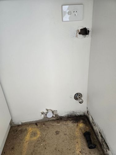 20240911_112424.jpg 20240911_112424.jpg