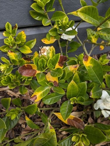 1000024489.jpg 1000024489.jpg