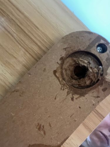 IMG_0301.jpeg IMG_0301.jpeg