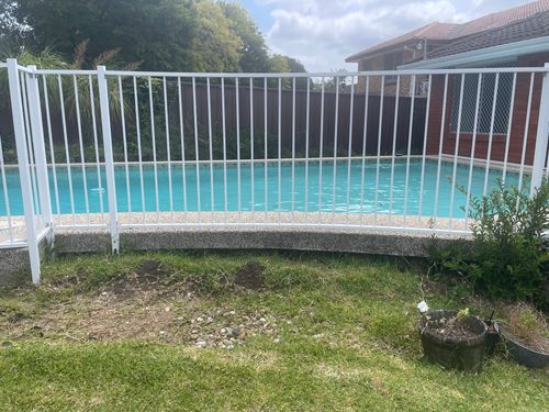 IMG_8490.jpeg IMG_8490.jpeg