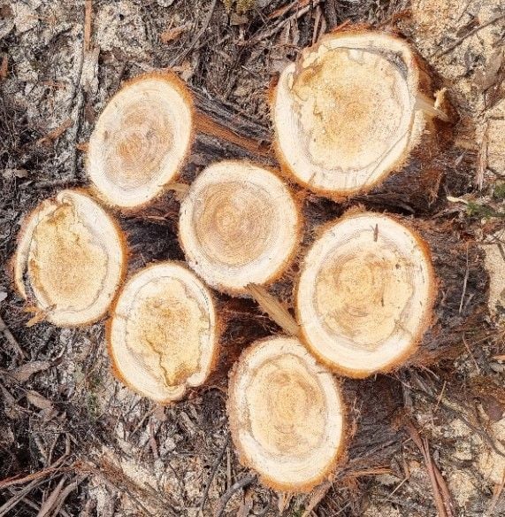 20251109_115937.jpg 20251109_115937.jpg