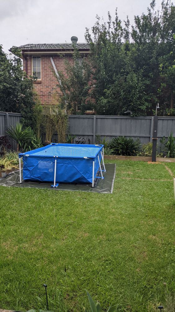 PXL_20210101_045626351.jpg PXL_20210101_045626351.jpg