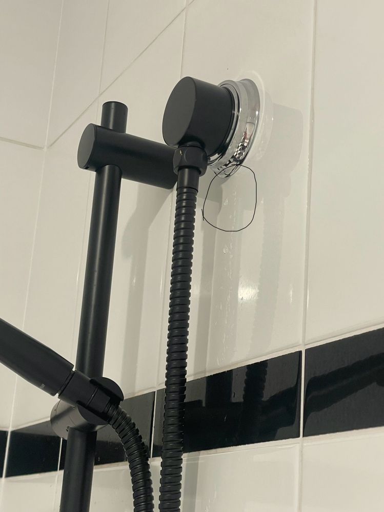 IMG_5601.jpeg IMG_5601.jpeg