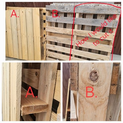 1000043558.jpg 1000043558.jpg