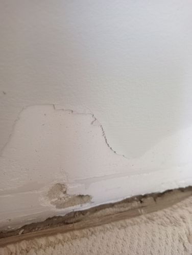 IMG20240417134115.jpg IMG20240417134115.jpg