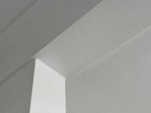 IMG_8350.jpeg IMG_8350.jpeg