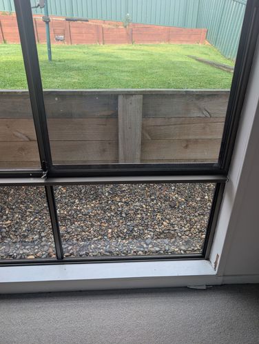 1000015145.jpg 1000015145.jpg