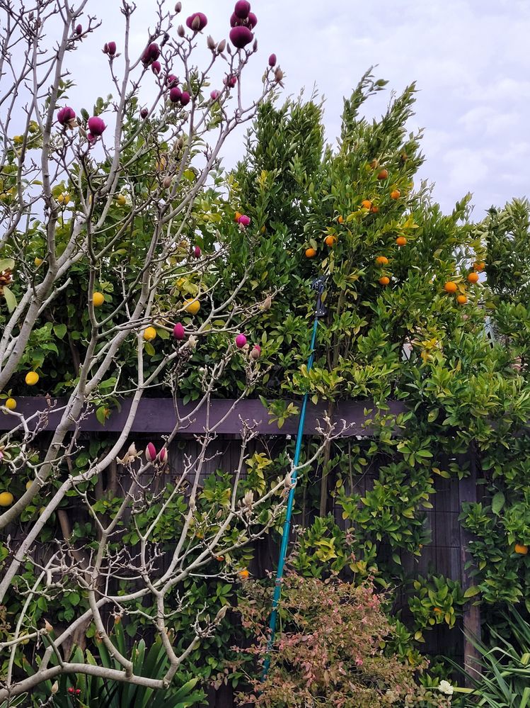 20220818_084849.jpg 20220818_084849.jpg