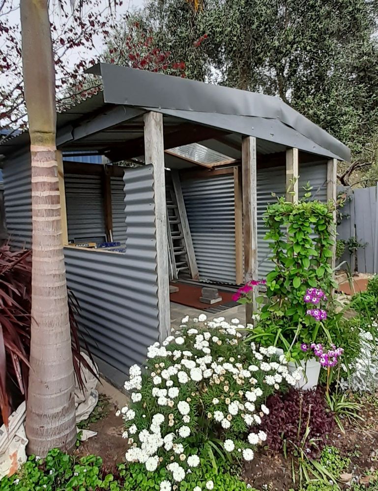 20211016_155707.jpg 20211016_155707.jpg