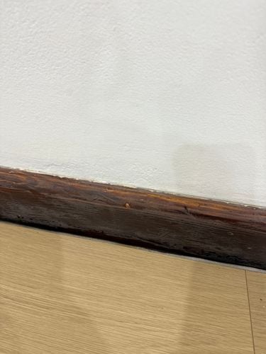 IMG_0741.jpeg IMG_0741.jpeg