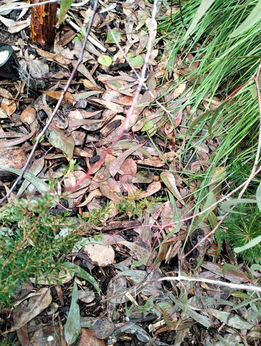 1000002639.jpg 1000002639.jpg