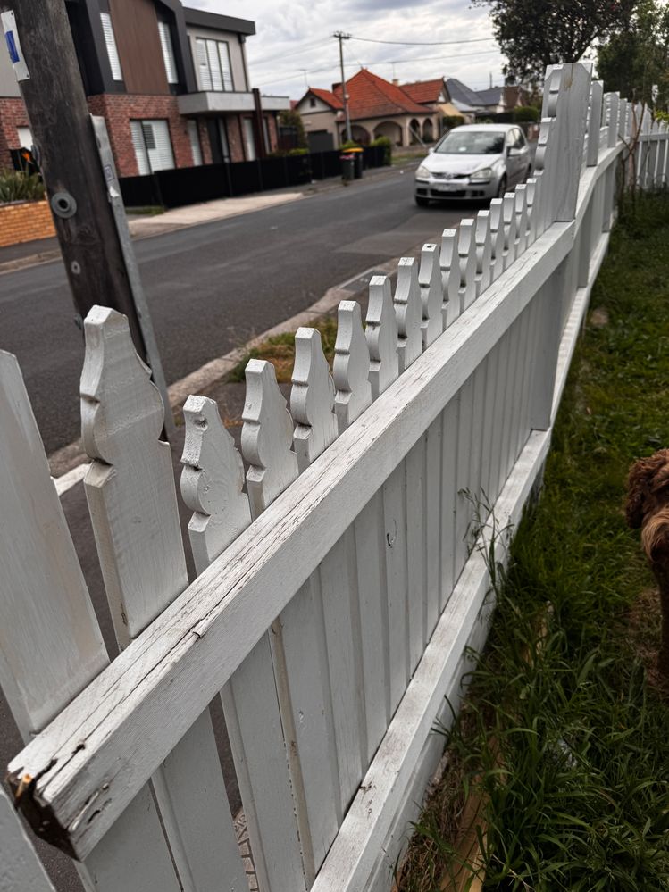 IMG_1467.jpeg IMG_1467.jpeg