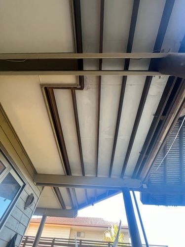 IMG_7785.JPG IMG_7785.JPG