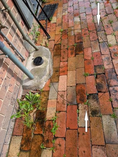 PXL_20251130_064405919.jpg PXL_20251130_064405919.jpg