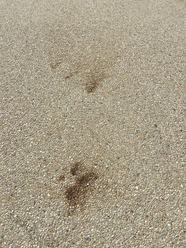 F08B580D-054E-47D6-8E0A-D40B5D1912B5.jpeg F08B580D-054E-47D6-8E0A-D40B5D1912B5.jpeg