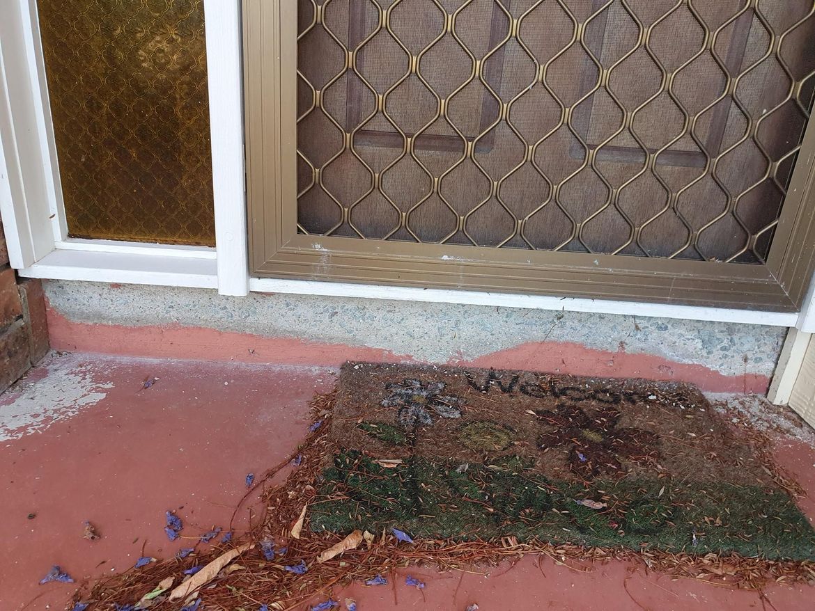 20231011_142959.jpg 20231011_142959.jpg