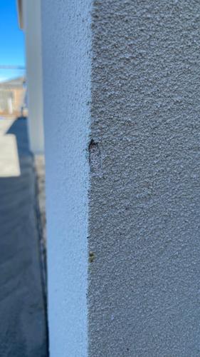 IMG_0620.jpeg IMG_0620.jpeg