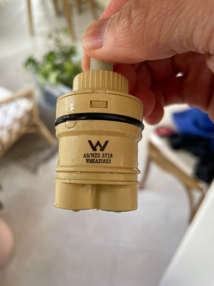 IMG_8607 Large.jpeg IMG_8607 Large.jpeg