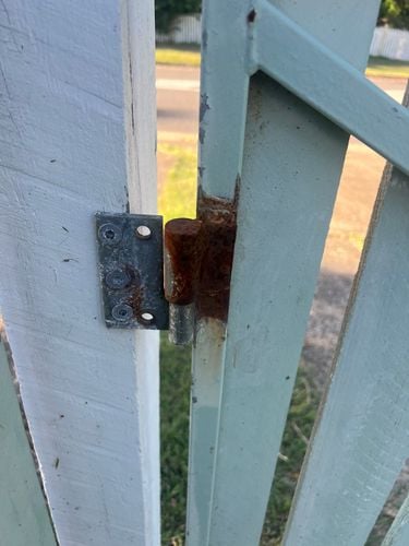 IMG_3518.jpeg IMG_3518.jpeg