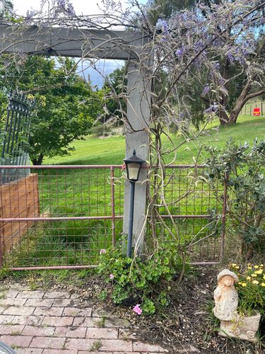 87EEEF70-9CD2-42F8-B434-E37CFC7FB399.jpeg 87EEEF70-9CD2-42F8-B434-E37CFC7FB399.jpeg