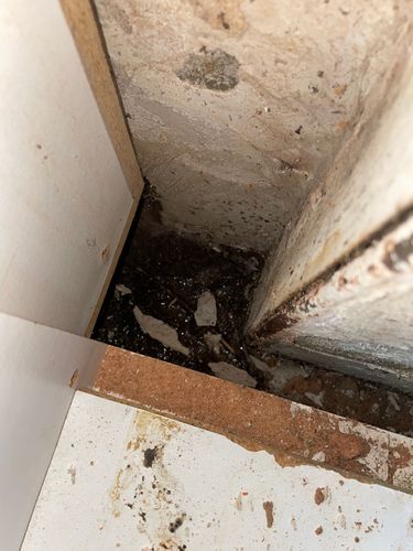 IMG_4103.jpeg IMG_4103.jpeg