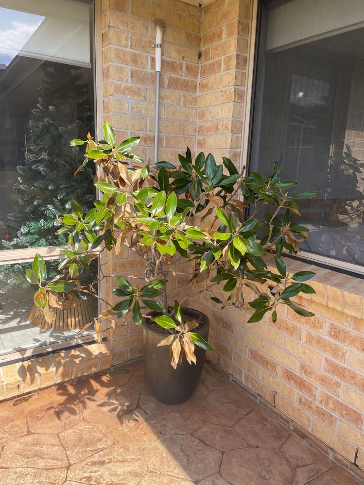 IMG_9067.jpg IMG_9067.jpg