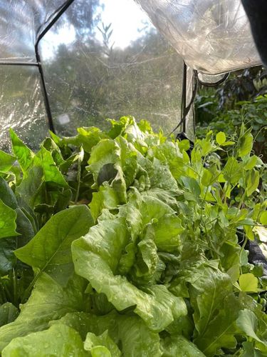 8F53AC66-D8C6-44BC-BDDC-4D2B6278BA51.jpeg 8F53AC66-D8C6-44BC-BDDC-4D2B6278BA51.jpeg