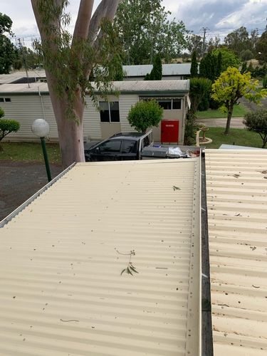 IMG_3301.jpg IMG_3301.jpg