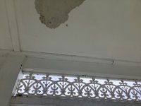 IMG_1555.jpeg IMG_1555.jpeg