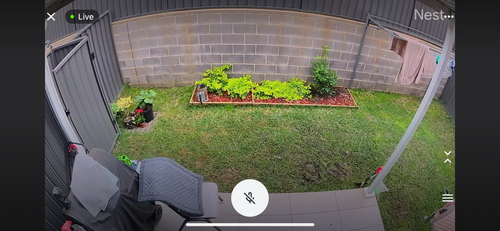 IMG_3828.png IMG_3828.png