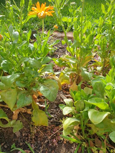 16974071521668334696156047173784.jpg 16974071521668334696156047173784.jpg