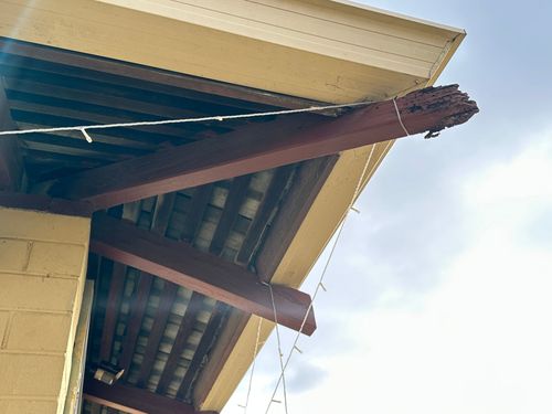 IMG_3589.jpeg IMG_3589.jpeg