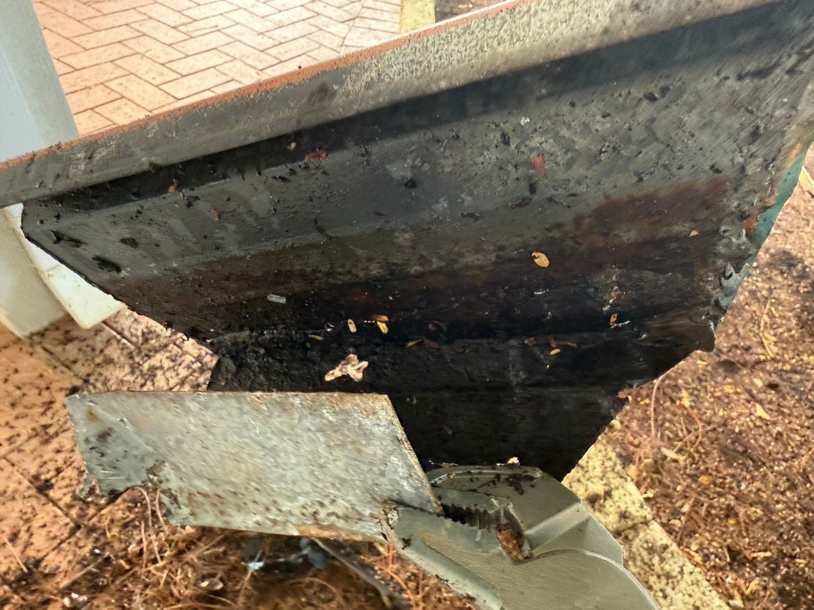 IMG_7217.jpeg IMG_7217.jpeg