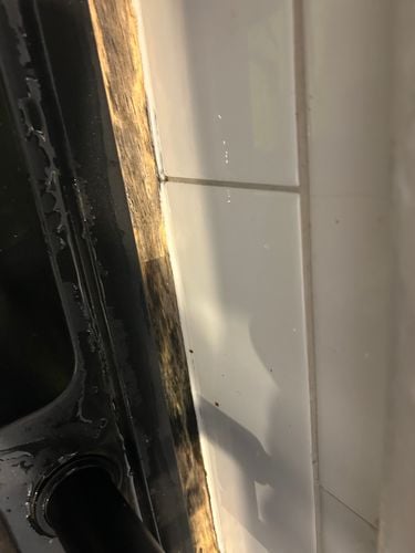 IMG_5463.jpeg IMG_5463.jpeg