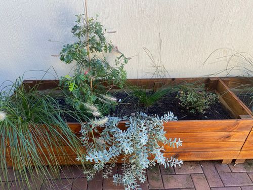 IMG-5086.jpg IMG-5086.jpg