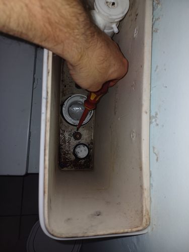 1000015596.jpg 1000015596.jpg