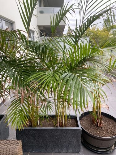 DD5BADBA-70E6-4059-B22C-DD5FC106F608.jpeg DD5BADBA-70E6-4059-B22C-DD5FC106F608.jpeg