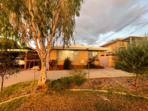 IMG_8754.jpeg IMG_8754.jpeg