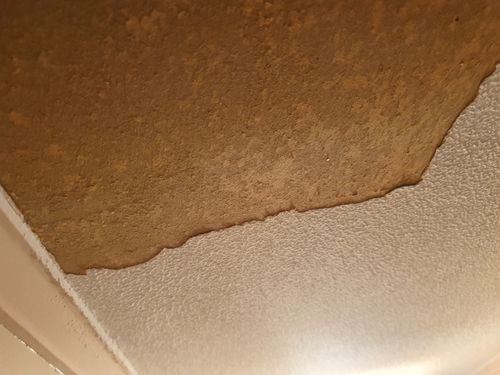 20210612_155507.jpg 20210612_155507.jpg