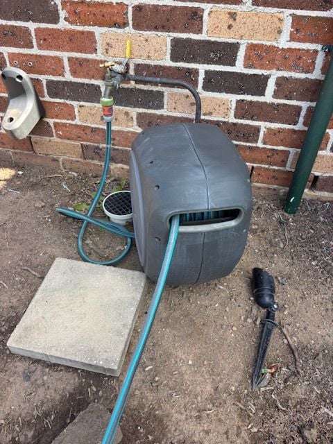 IMG_0195.jpg IMG_0195.jpg