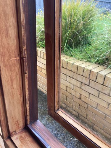 IMG_4934.jpeg IMG_4934.jpeg