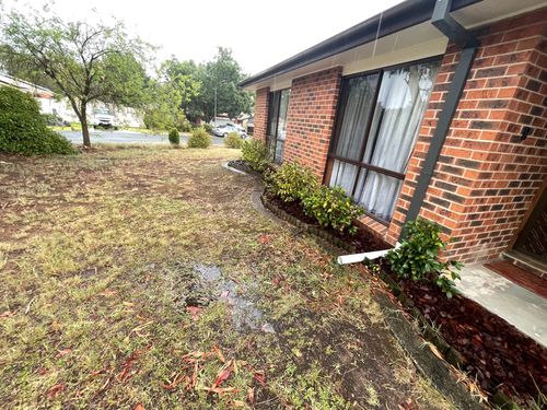 IMG_3550.jpeg IMG_3550.jpeg