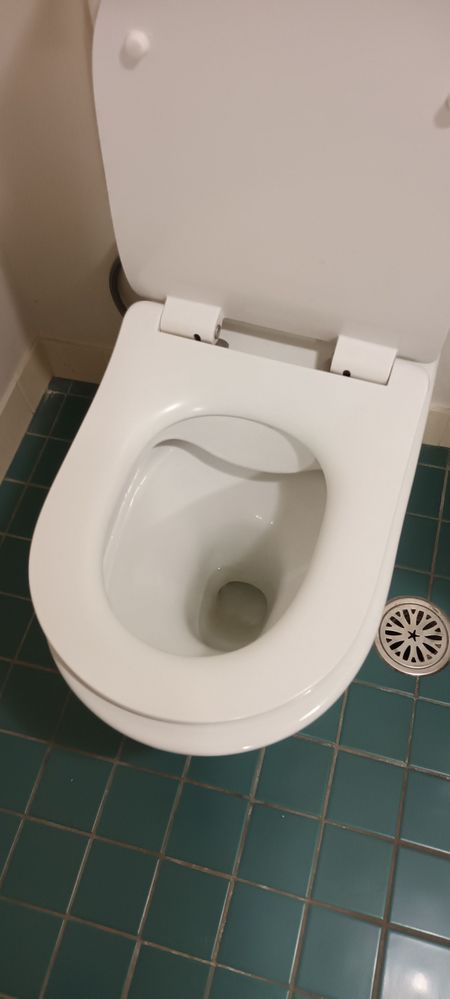 ECE6A936-AEE7-47CE-A252-2D8AD7B8E9E8.jpeg ECE6A936-AEE7-47CE-A252-2D8AD7B8E9E8.jpeg