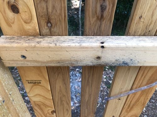 1A3B1701-176C-41F9-A324-82693C5BBD2B.jpeg 1A3B1701-176C-41F9-A324-82693C5BBD2B.jpeg