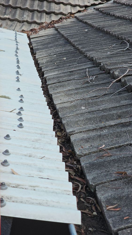 20250402_175947.jpg 20250402_175947.jpg